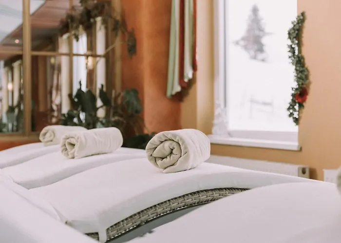 Montana Готель 4*